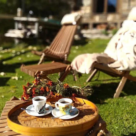 Nuit A Pleiney Bed & Breakfast *